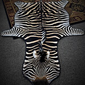Zebra Rug with leather binded edges
