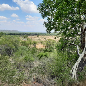 Zimbabwe Hunt Area