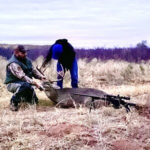 Hunting White-tailed Deer in Texas USA
