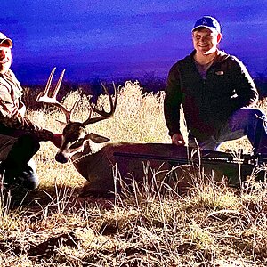 Texas USA Hunt White-tailed Deer