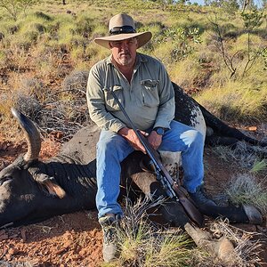 Australia Hunting Scrub Bull