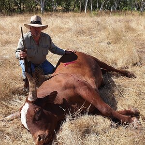 Scrub Bull Hunt Australia