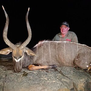 Hunt Nyala in South Africa