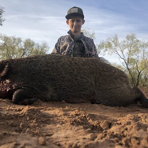 Hog Hunting Texas USA