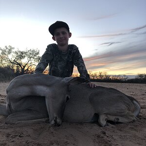 Hunt Deer in Texas USA