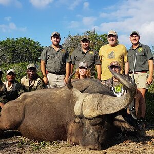 South Africa Hunt Cape Buffalo