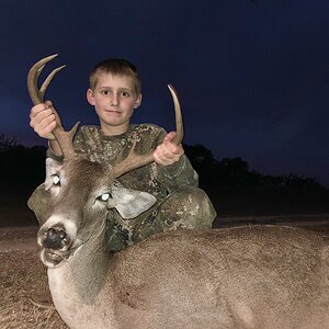 White-tailed Deer Hunting Texas USA