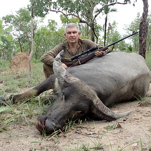 Hunt Asiatic Water Buffalo in Australia