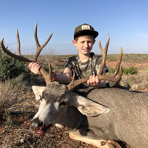 Mule Deer Hunting Texas USA