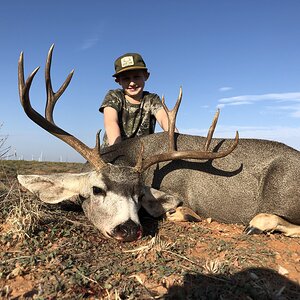 Hunt Mule Deer Texas USA