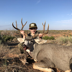 Texas USA Hunting Mule Deer