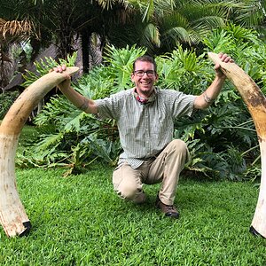 Elephant Hunting Zimbabwe