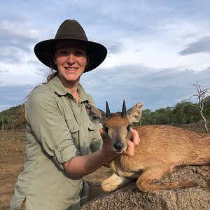 Sharpe's Grysbok Hunt Zimbabwe