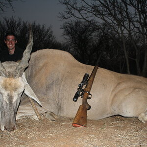 South Africa Hunting Eland