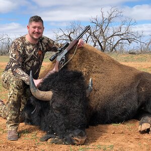 Bison Hunt Texas USA