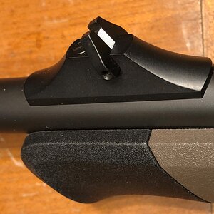 Blaser R8 rear sight