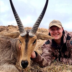 South Africa Hunting Common Reedbuck