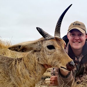 Common Reedbuck Hunting South Africa