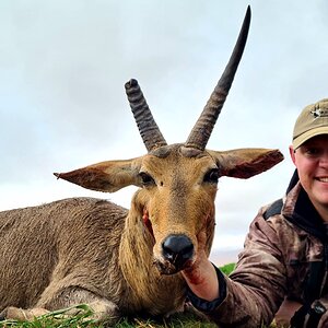 South Africa Hunt Common Reedbuck