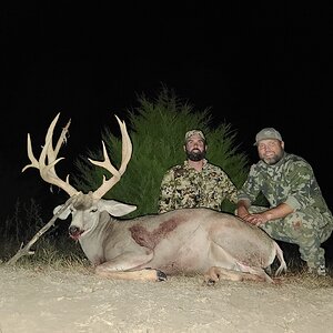 Kansas buck