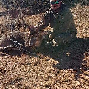 White-tailed Deer Hunting Texas USA