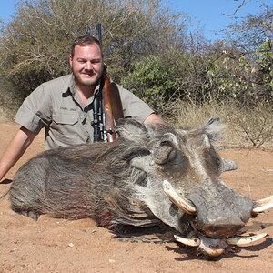 Warthog Hunting South Africa