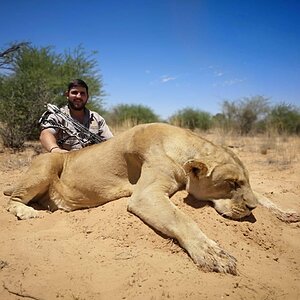 Lioness Bow Hunt