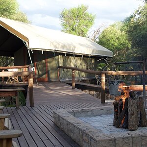 Safari Tented Camp - Limpopo