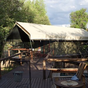 Safari Tented Camp - Limpopo