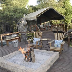 Safari Tented Camp - Limpopo