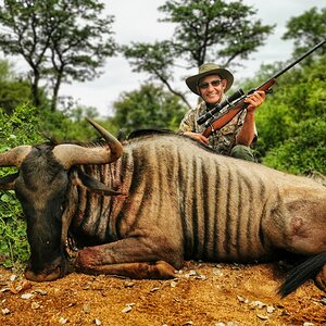 South Africa Hunting Blue Wildebeest