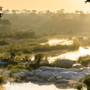 Kruger National Park South Africa