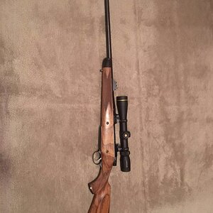 CZ 550 Magnum Rifle in 416 Rigby