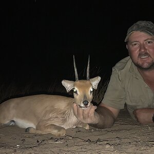 South Africa Hunting Steenbok