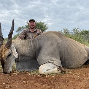 South Africa Hunt Eland