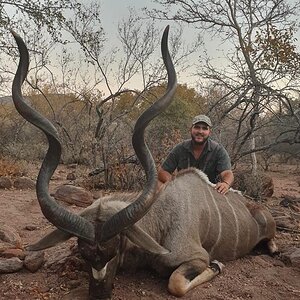 Kudu Hunting South Africa