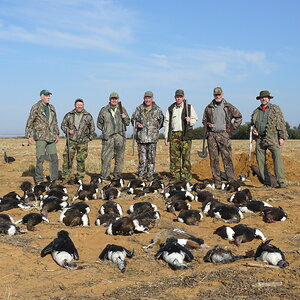 Geese Hunt South Africa
