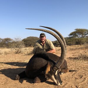 Sable Antelope Hunt South Africa