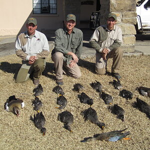 Hunt Ducks in South Africa Waterbuck