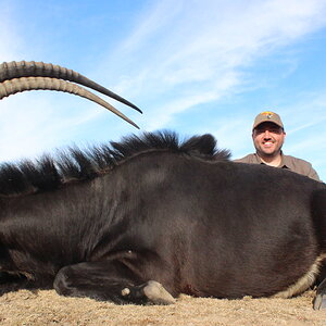 Hunt Sable Antelope in South Africa