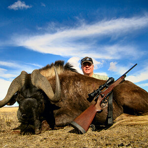 Hunt Black Wildebeest in South Africa