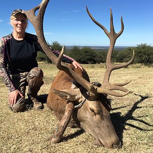 Argentina Hunt Red Stag