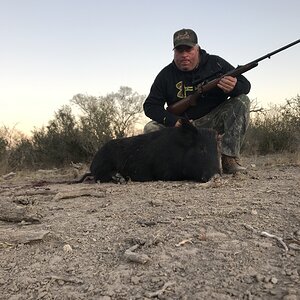 Hunt Pigs in Texas USA