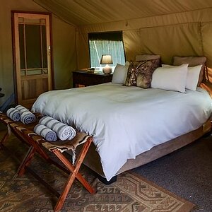 Hunting Lodge in South Africa