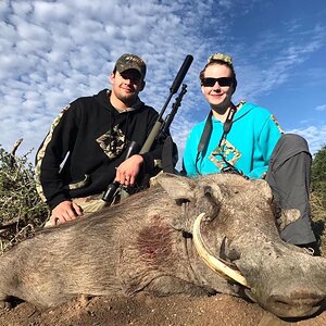 Hunting Warthog in South Africa