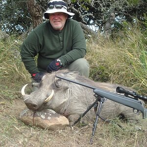 Hunt Warthog in South Africa