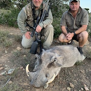 Warthog Hunt South Africa