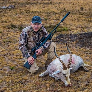 Hunting White Blesbok in South Africa