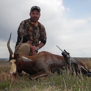 Hunt Blesbok in South Africa