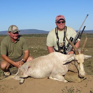 Hunting White Blesbok in South Africa